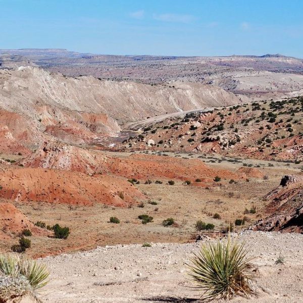 Which carrier has the best cell phone coverage in New Mexico? Which carrier has the best cell phone coverage in New Mexico?