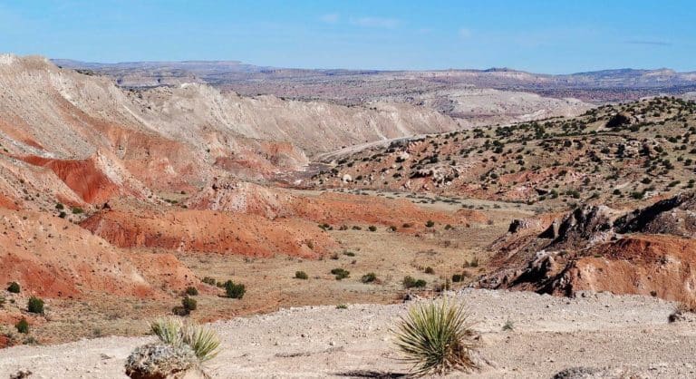 Which carrier has the best cell phone coverage in new mexico?