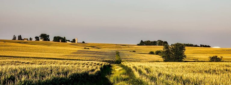 Which carrier has the best cell phone coverage in Iowa?
