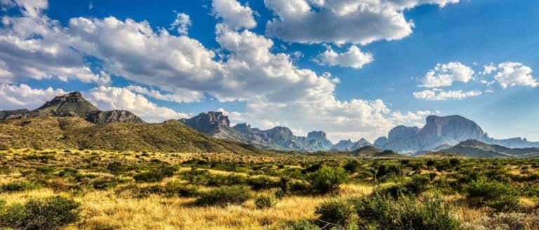 Discover the best network coverage in texas: why us mobile is your ultimate choice
