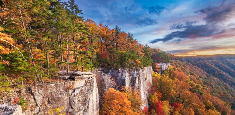 Us mobile: the best coverage provider in west virginia (2024)