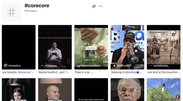 What is corecore at its core?