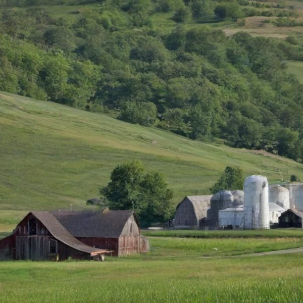 Best Phone Coverage & Plans in Stephan, South Dakota 57346 image of the serene and pastoral landscape of Stephan, South Dakota